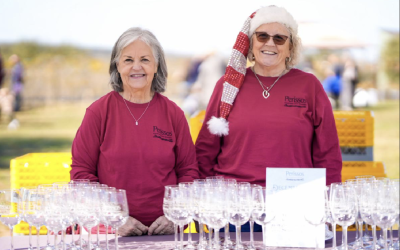 December Release Party